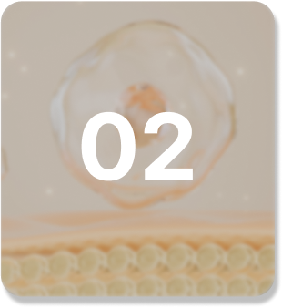 마스크 이미지 2