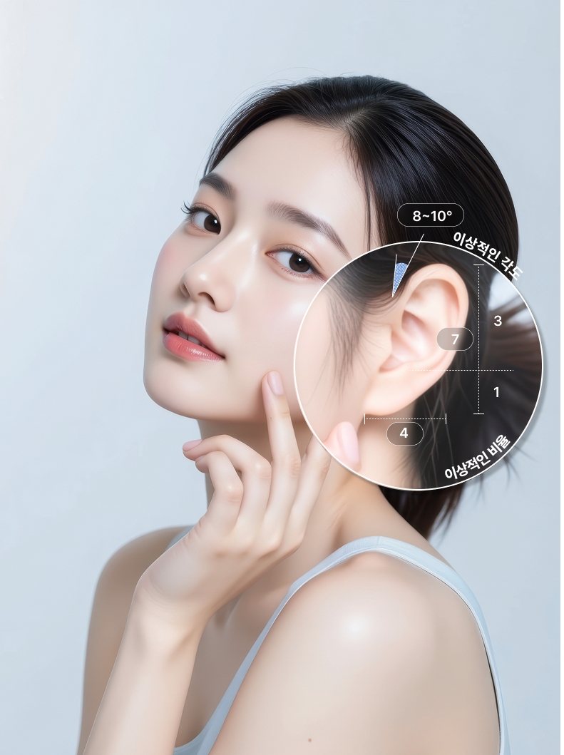 얼굴과 귀 비율 가이드